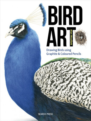 cover image of Bird Art